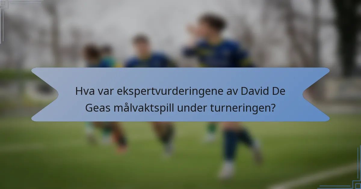 Hva var ekspertvurderingene av David De Geas målvaktspill under turneringen?